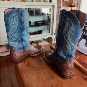 Lucchese | Shoes | Lucchese Faint Gator D Brown And Blue  display picture 3